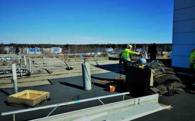 Vuoden 2019 kuulumiset